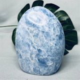 Kyanite Polie (1KG)