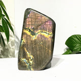 Blocs Labradorite Scintillantes